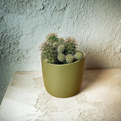 PLANTER POTS