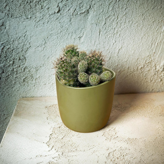 PLANTER POTS