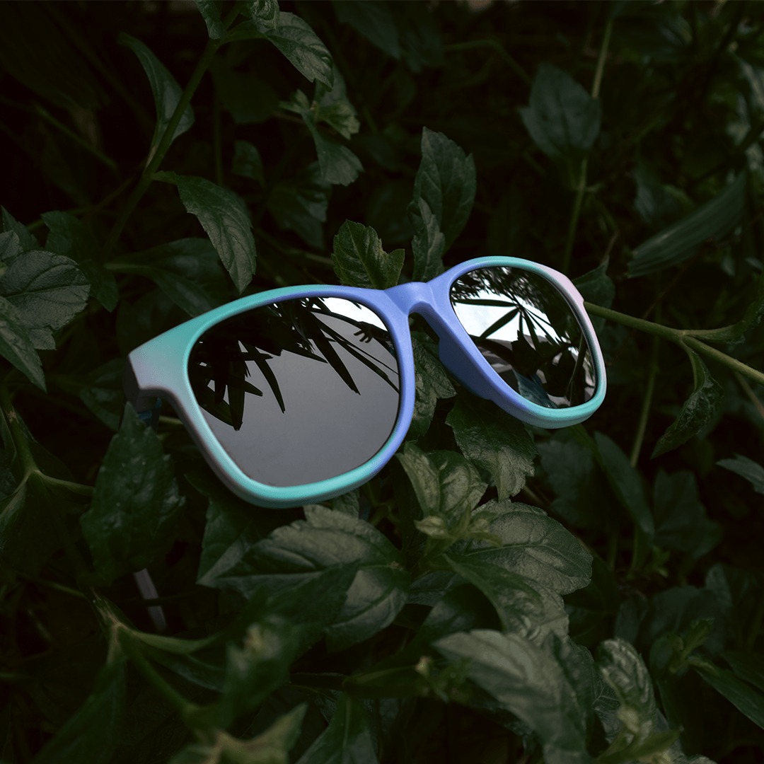 SUNGLASSES - WAYFARERS