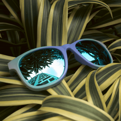 SUNGLASSES - WAYFARERS