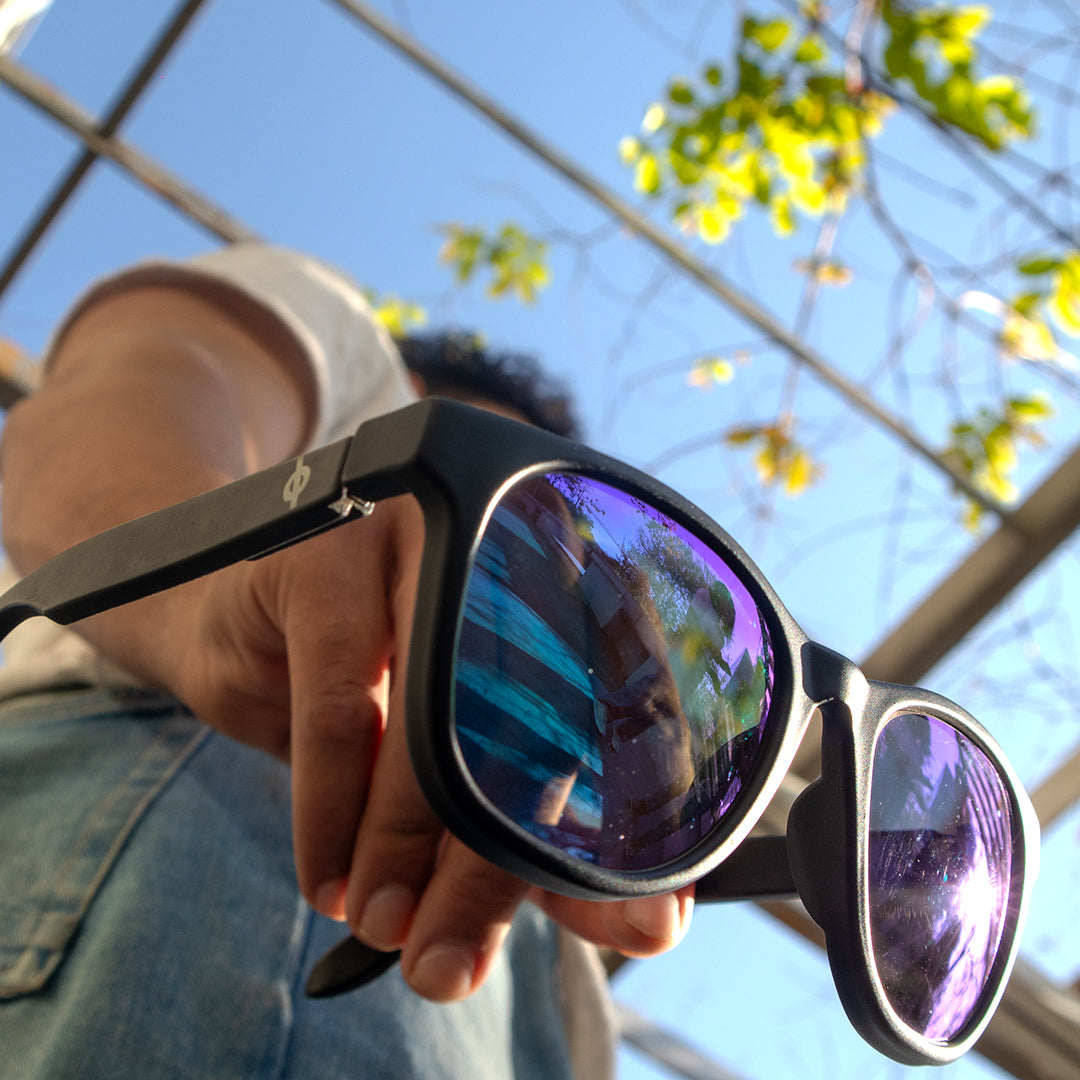 Wayfarer Sunglass of WITHOUT